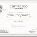 Ampliar imagen: certificate 2