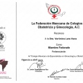 Ampliar imagen: certificate 15