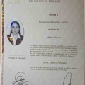 Ampliar imagen: certificate 5