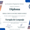 Ampliar imagen: certificate 5