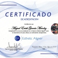 Ampliar imagen: certificate 2