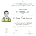 Ampliar imagen: certificate 1