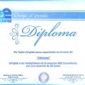Ampliar imagen: certificate 8