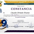 Ampliar imagen: certificate 7