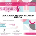 Ampliar imagen: certificate 8