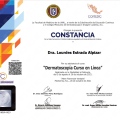 Ampliar imagen: certificate 7