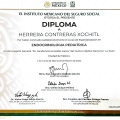 Ampliar imagen: certificate 3