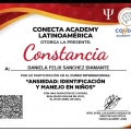 Ampliar imagen: certificate 7