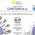 Ampliar imagen: certificate 9