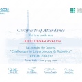 Ampliar imagen: certificate 1