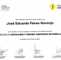 Ampliar imagen: certificate 8