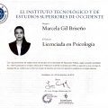 Ampliar imagen: certificate 4
