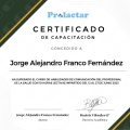 Ampliar imagen: certificate 10