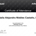 Ampliar imagen: certificate 2