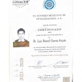 Ampliar imagen: certificate 1
