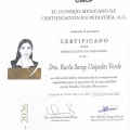 Ampliar imagen: certificate 1