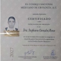 Ampliar imagen: certificate 2
