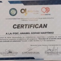 Ampliar imagen: certificate 1