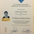 Ampliar imagen: certificate 2