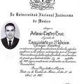 Ampliar imagen: certificate 1