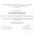 Ampliar imagen: certificate 12