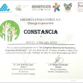 Ampliar imagen: certificate 6