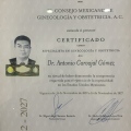 Ampliar imagen: certificate 1