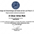 Ampliar imagen: certificate 7