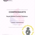 Ampliar imagen: certificate 8
