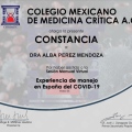 Ampliar imagen: certificate 5