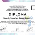 Ampliar imagen: certificate 9