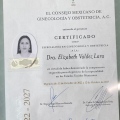 Ampliar imagen: certificate 2