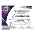 Ampliar imagen: certificate 11