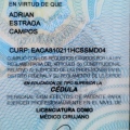 Ampliar imagen: certificate 3