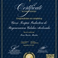 Ampliar imagen: certificate 20