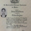 Ampliar imagen: certificate 3
