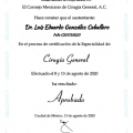 Ampliar imagen: certificate 1