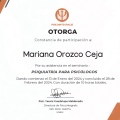Ampliar imagen: certificate 15