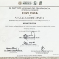 Ampliar imagen: certificate 2