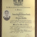 Ampliar imagen: certificate 6