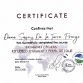 Ampliar imagen: certificate 11