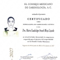 Ampliar imagen: certificate 1