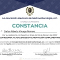 Ampliar imagen: certificate 13