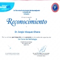 Ampliar imagen: certificate 6