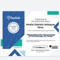 Ampliar imagen: certificate 6