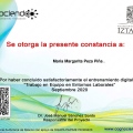 Ampliar imagen: certificate 7