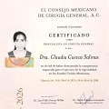 Ampliar imagen: certificate 3