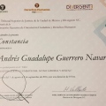 Ampliar imagen: certificate 6