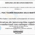 Ampliar imagen: certificate 11