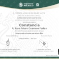 Ampliar imagen: certificate 7